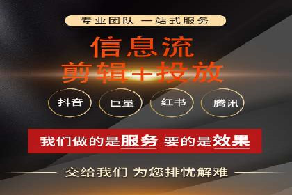 实战技巧：竞价推广案例解析与优化策略